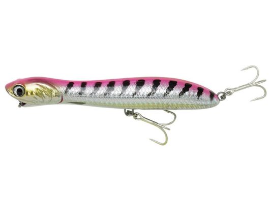 pink baracuda