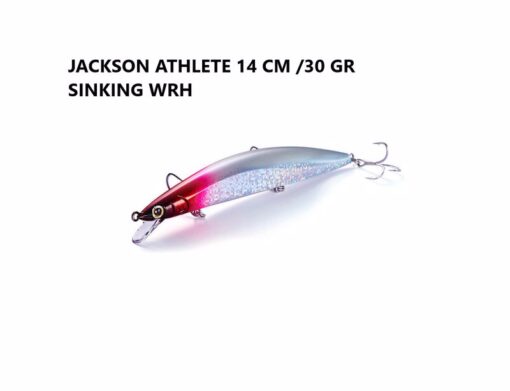 Jackson hard lure 14 εκατοστά 30 γραμμάρια minnow